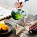 Tea Pot with Strainer Lid 450 ml