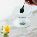 CHA CHA Dripper Bouquet