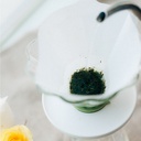 CHA CHA Dripper Bouquet