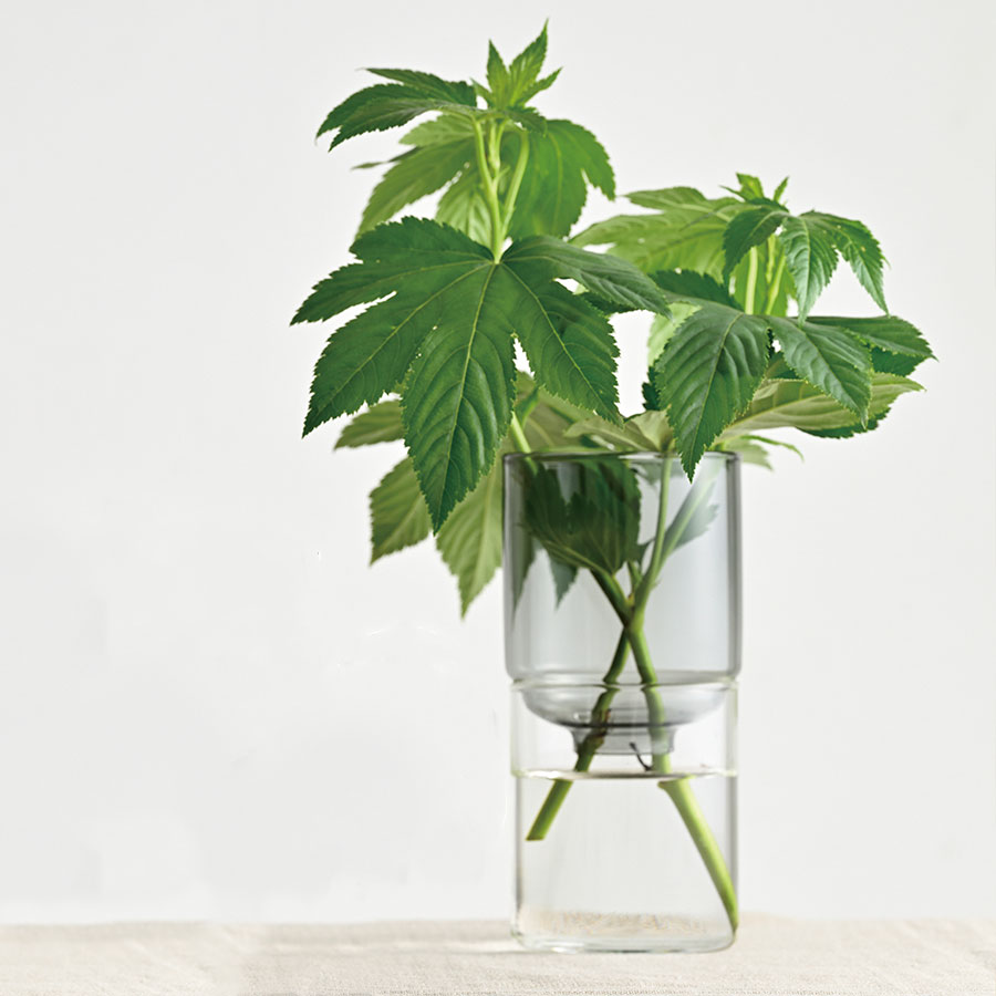 Glass Flower Vase 200 ml - Transparent Black