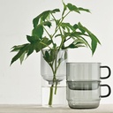 Glass Flower Vase 200 ml - Transparent Black