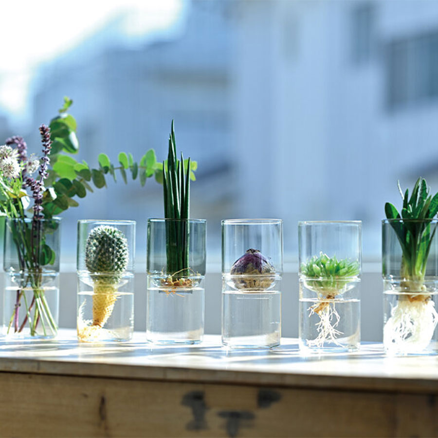 Glass Flower Vase 200 ml - Transparent Black