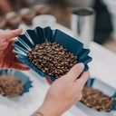 Cupping Tray (12 pcs.)