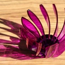 SUIREN Rib 6-Piece Set - Transparent Purple