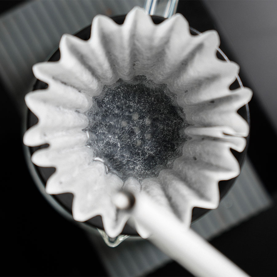 Graycano Coin - Black