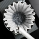 Graycano Coin - Black