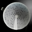 Graycano Filter Paper GC01