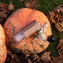 Comandante C40 MK4 Nitro Blade Virginia Walnut