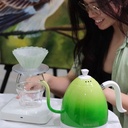 Brewista Artisan 1L Kettle Candy Green - EU