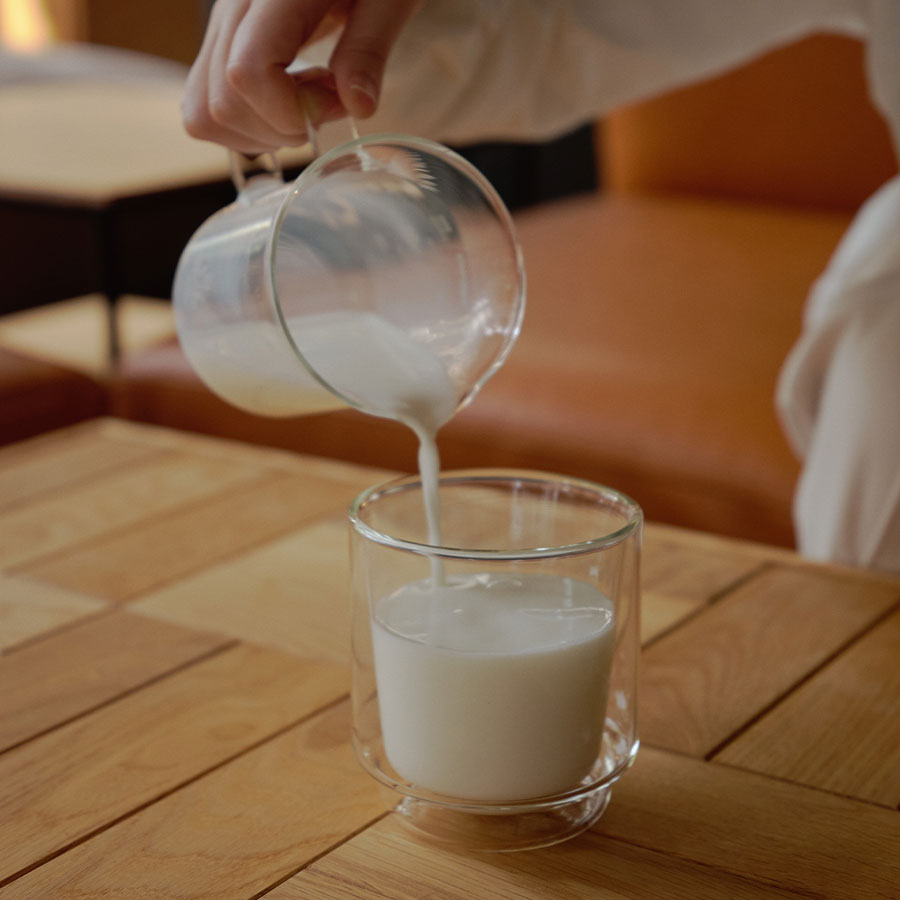 Matcha Collection Set - Clear