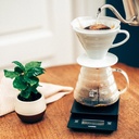 V60 Range Server 600ml Clear